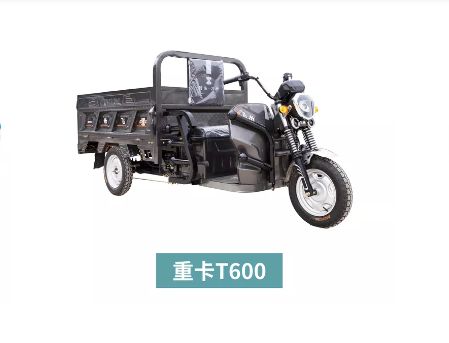 如何选择适合自己的苏冠电动车？